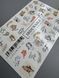 IBDI NAILS Слайдер IBDI NAILS COLOR FUL №82 6331 6331 фото 2