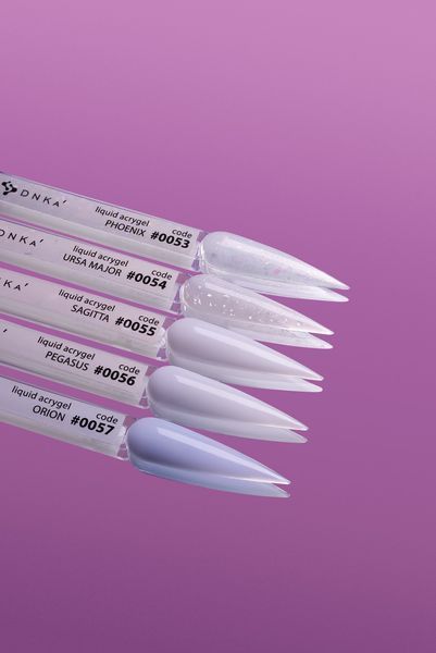 Liquid Acrygel DNKa, 12 ml #0056 Pegasus LAD0056 LAD0056-17167 фото