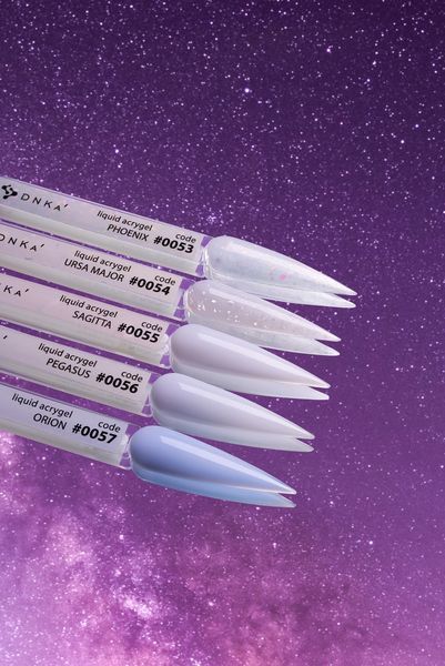 Liquid Acrygel DNKa, 12 ml #0056 Pegasus LAD0056 LAD0056-17167 фото