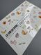 IBDI NAILS Слайдер IBDI NAILS COLOR FUL №87 6334 6334 фото 2