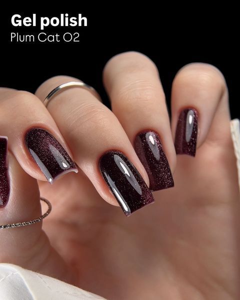 Lukum Гель-лак Plum Cat Gel №2 10ml 5055 5055-25133 фото