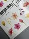 IBDI NAILS Слайдер-дизайн №506 6152 6152 фото 3